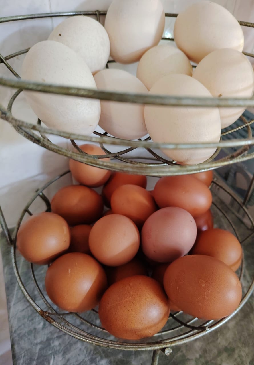How Much Protein Do You Need After 50 to Prevent Muscle Loss?