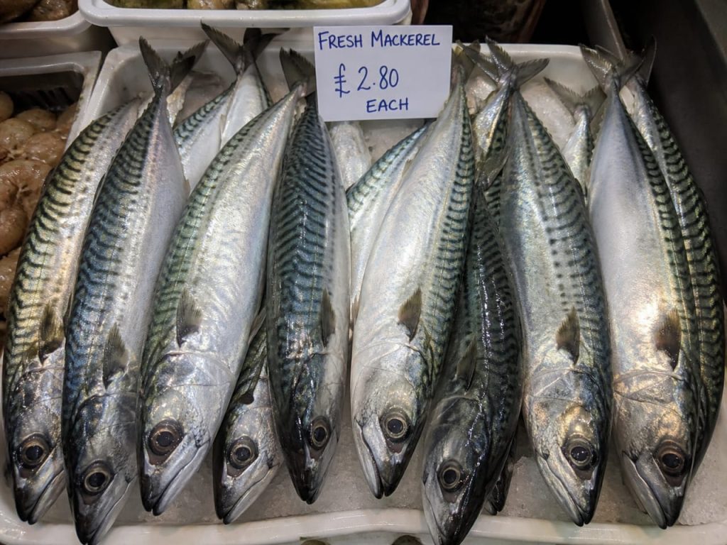 mackerel - 5 high protein fish