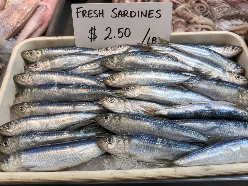 sardines - 5 high protein fish