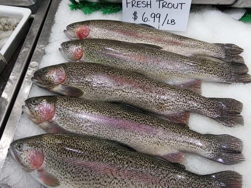 trout - 5 high protein fish